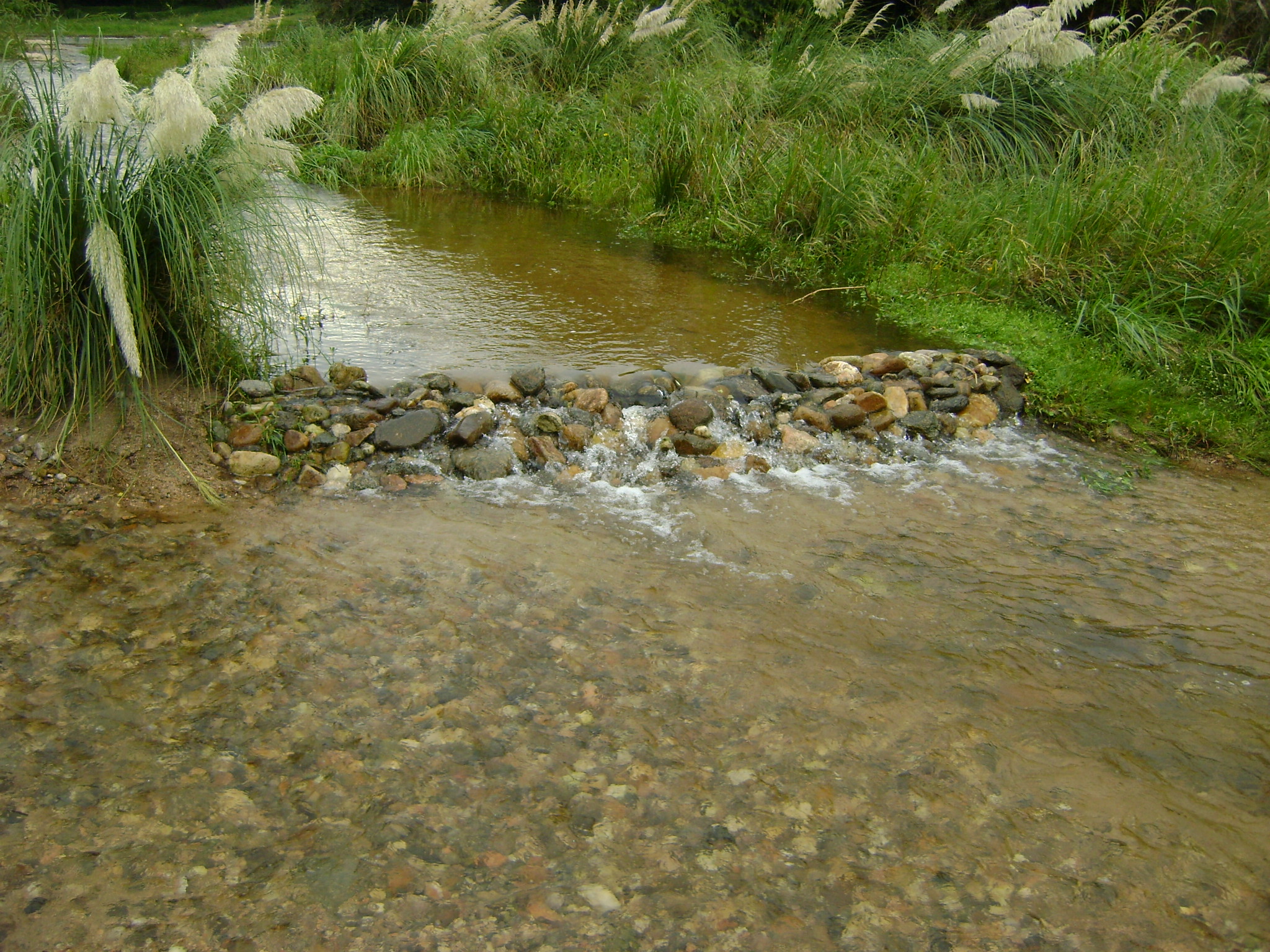 fotos/2011 - Los Reartes/DSC03467.JPG